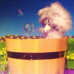 Mosó Masa mosodája - klasszikus bábelőadás, bábszínház a Kampínó Színházban 